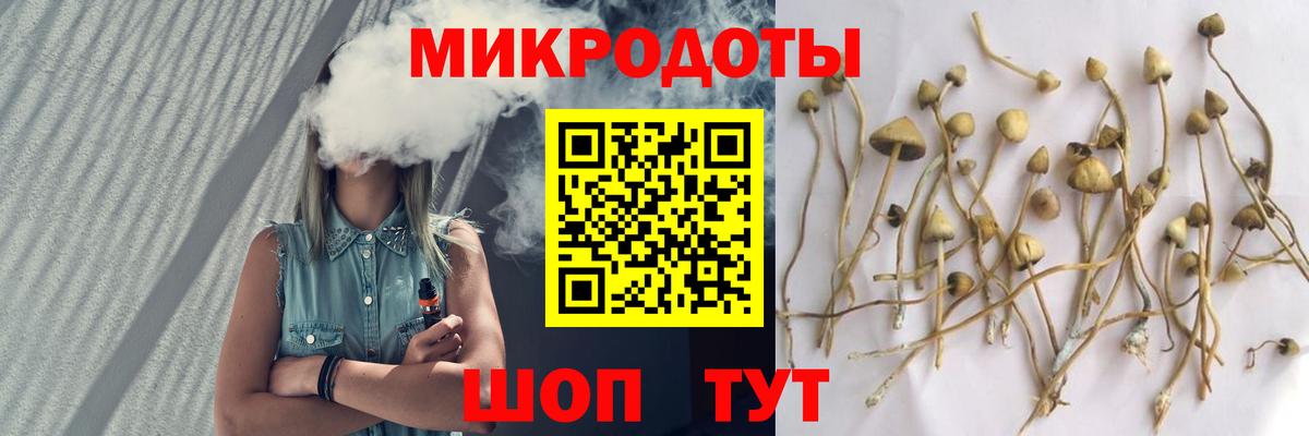 Галлюциногенные грибы Psilocybine cubensis Берёзовский