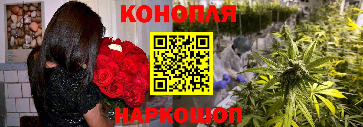 Бошки Шишки White Widow  Вход с VPN  Берёзовский  Конопля SATIVA & INDICA  Марихуана гибрид 